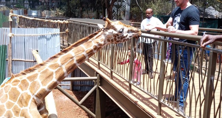 Nairobi daily city tour Karen blixen girrafe sheldrick orphanage